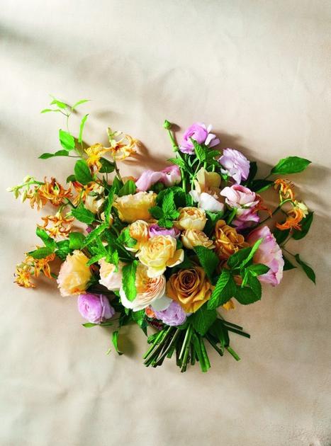 yA3j-hcikcev5932173.jpg yA3j-hcikcev5932173.jpg